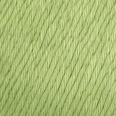 YAC Epic 8/8 123 Fern