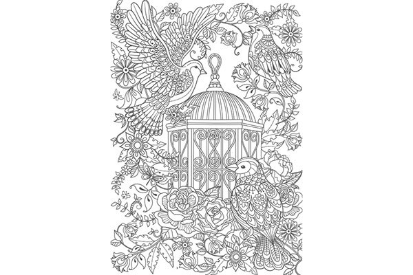 Maleark A4 til voksne Fugle, 6 ark