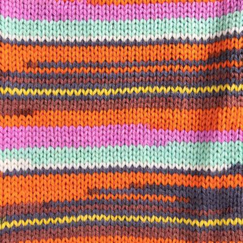 Raggi 100g 15224 Aster