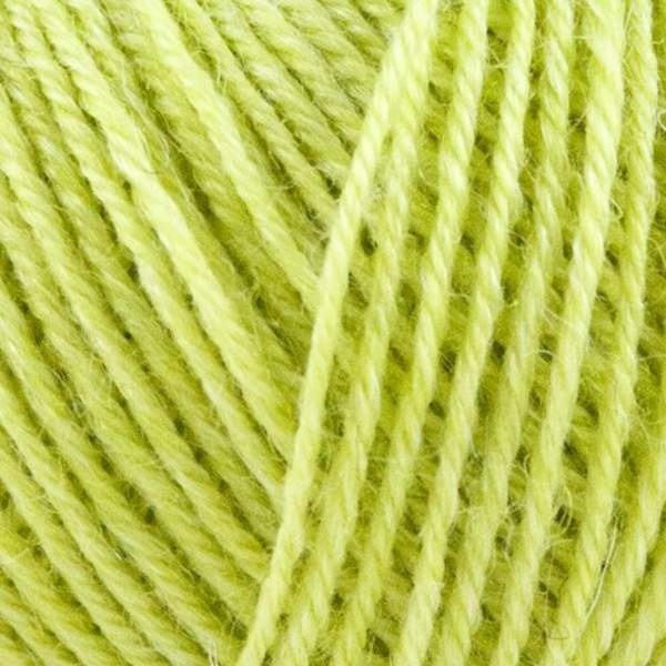 Onion Nettle Sock Yarn 1014