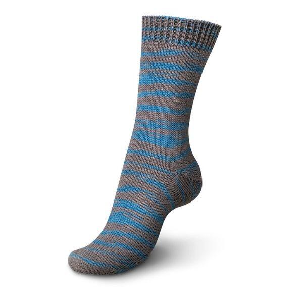 01181 Dokotorfisch color