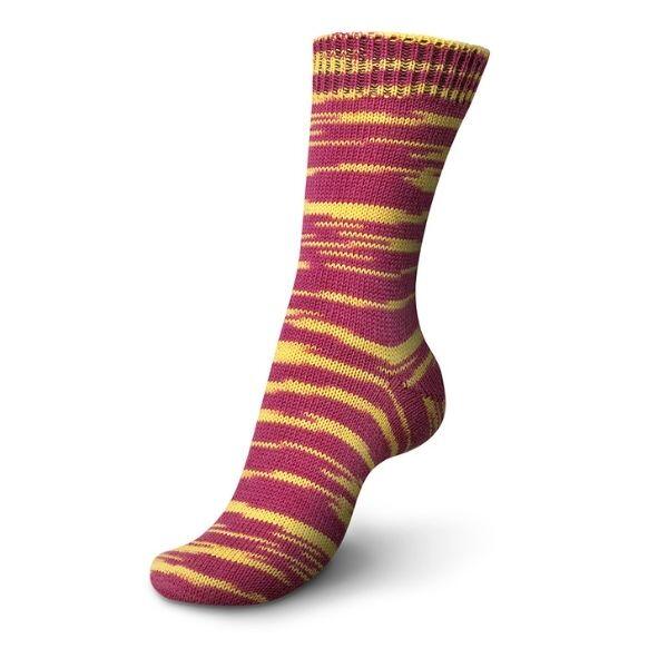 01182 Feuerfisch color