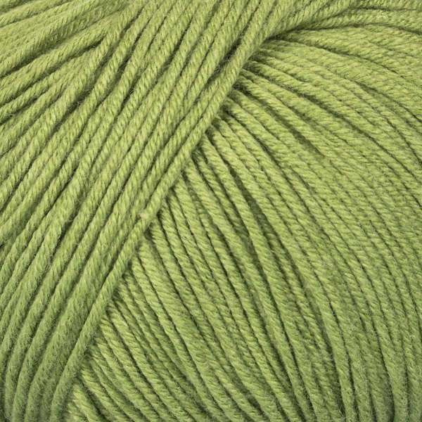 Mayflower Alliance Fine