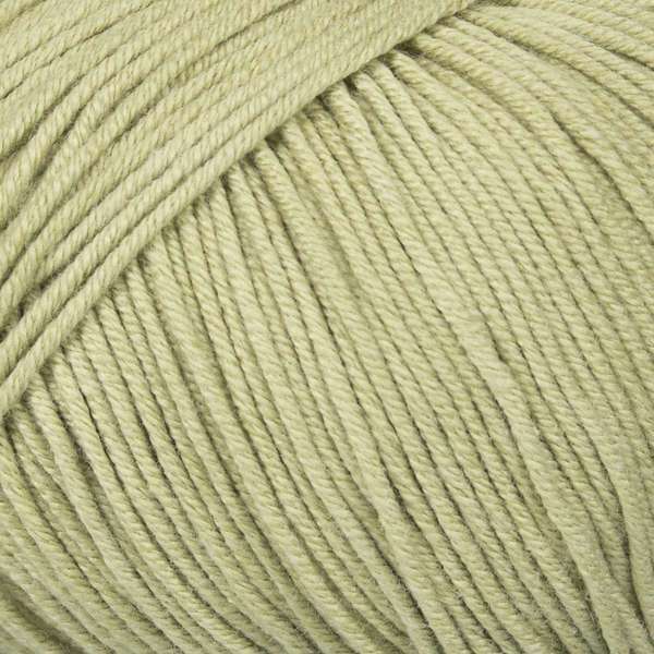 Mayflower Alliance Fine