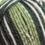 Raggi 100g 15195 Sporty green