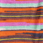 Raggi 100g 15224 Aster