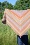 D118 Marigold Shawl