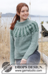 244-1 Ancient Woodlands Sweater by DROPS Design