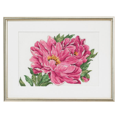 Embroidery kit Peony